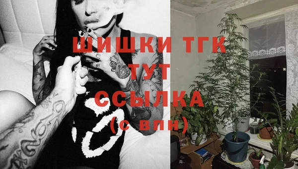 стаф Абинск