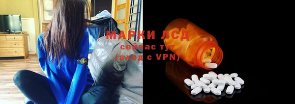 стаф Абинск